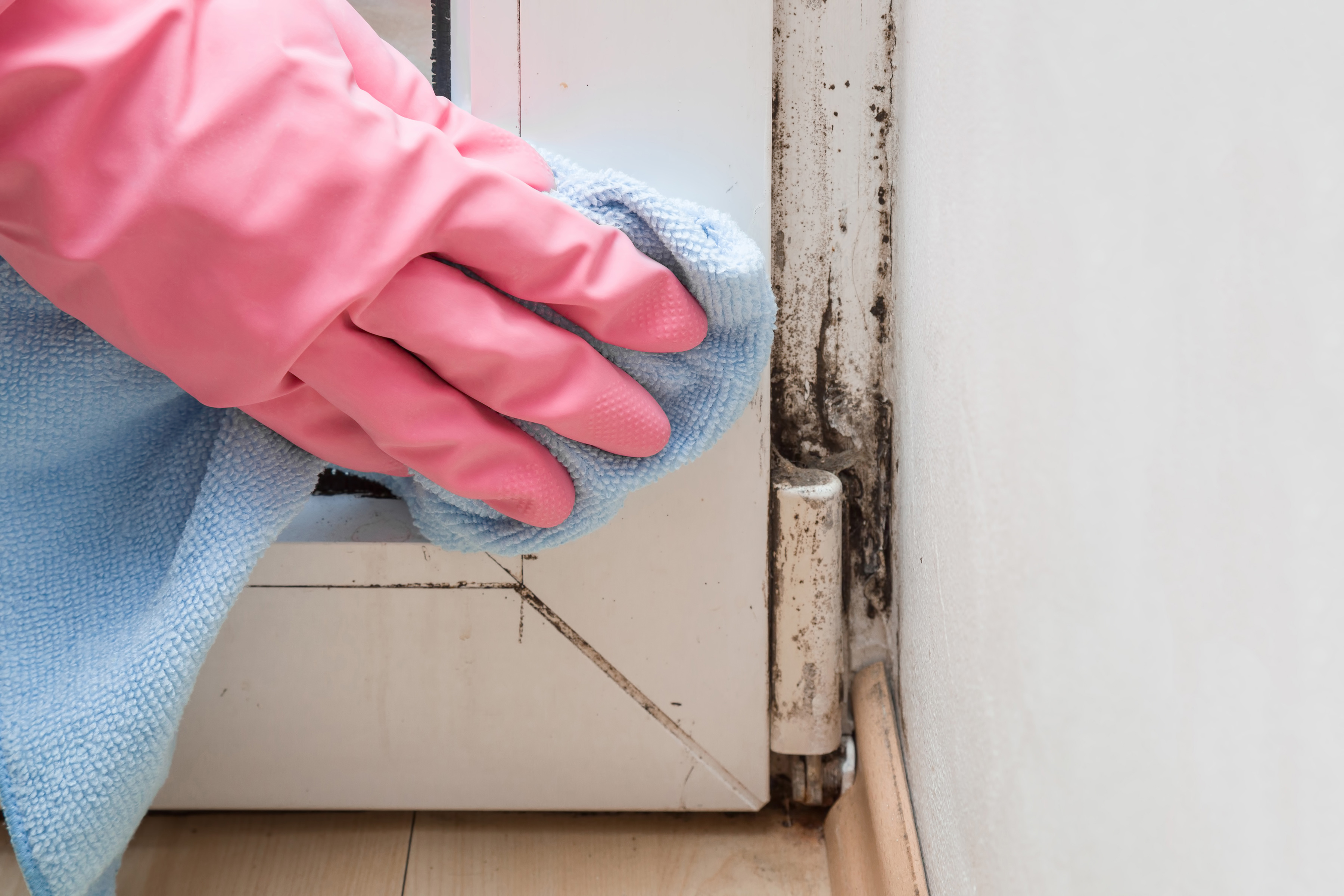 A hand wearing a pink cleaning glove removing mold from the corner of a door. 